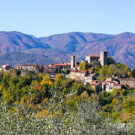 Gli Ulivi
